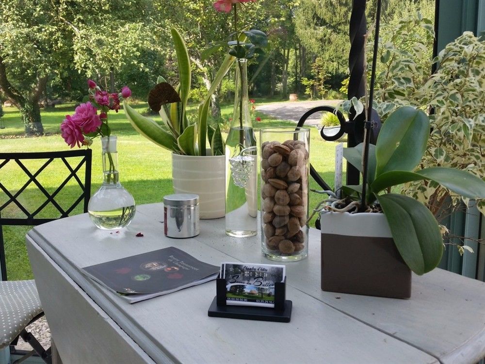 Seine En Bulles Villa Bar-sur-Seine Eksteriør billede